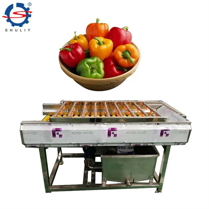 vegetable and fruit washing drying line (5)