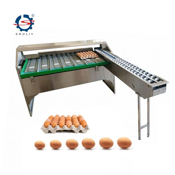 egg scale egg grader4