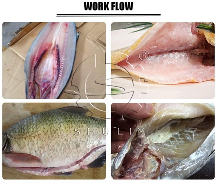 Fish Killing Machine