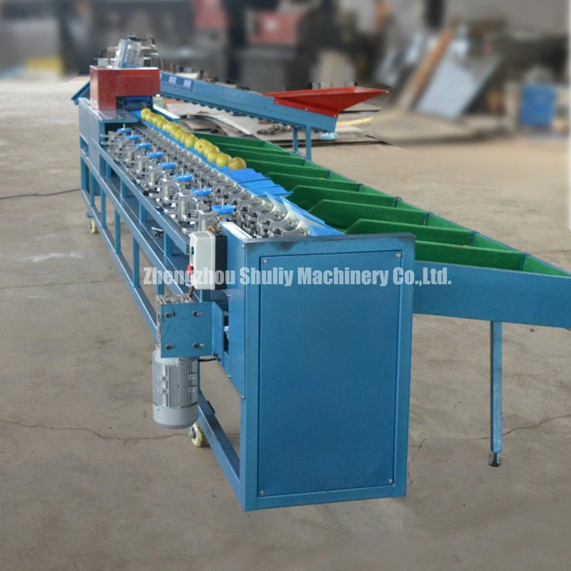 Fruit Grading Equipment