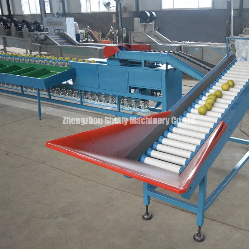 Fruit Grading Equipment