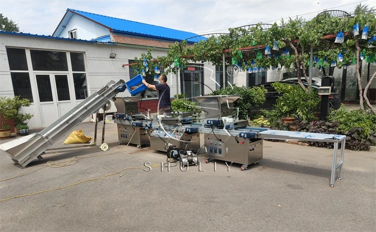 drum nursery seedling machine drum nursery seedling machine