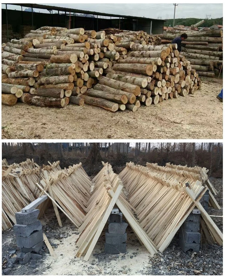 Wood saw machine Wood saw machine