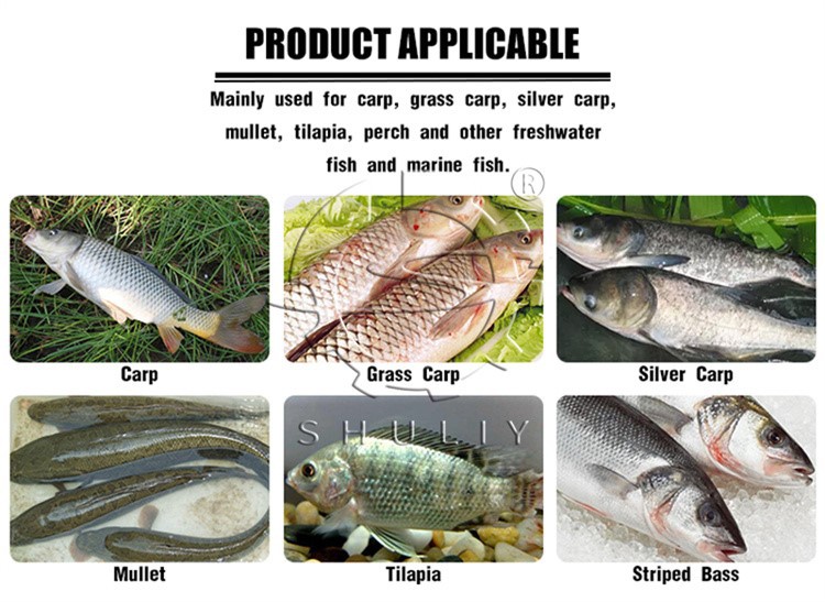 fish killing machine fish killing machine